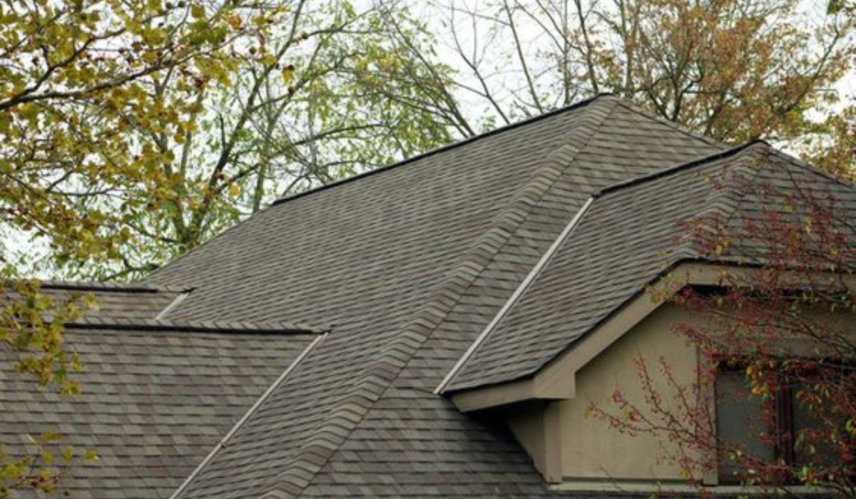 Dimensional-Roof-Shingles-2