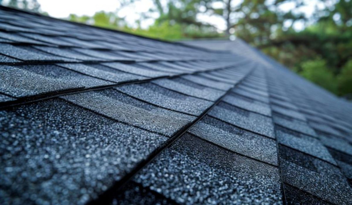 Roof-Shingles-1